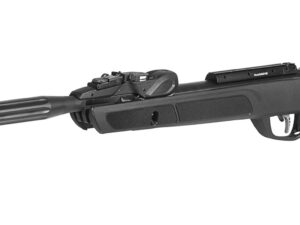 Gamo Roadster IGT 10X GEN2 4.5mm