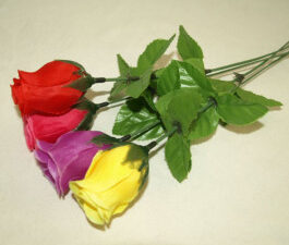 Kermis schiet rozen 20st